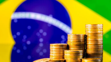 Economia Brasileira em 2024